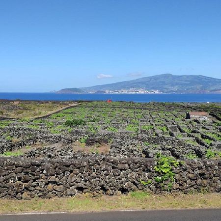 Casa Da Ilha Villa Madalena  Buitenkant foto