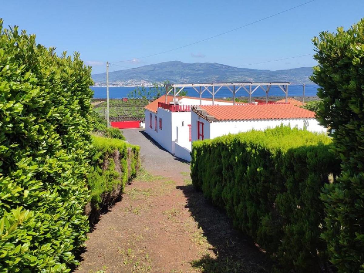 Casa Da Ilha Villa Madalena  Buitenkant foto