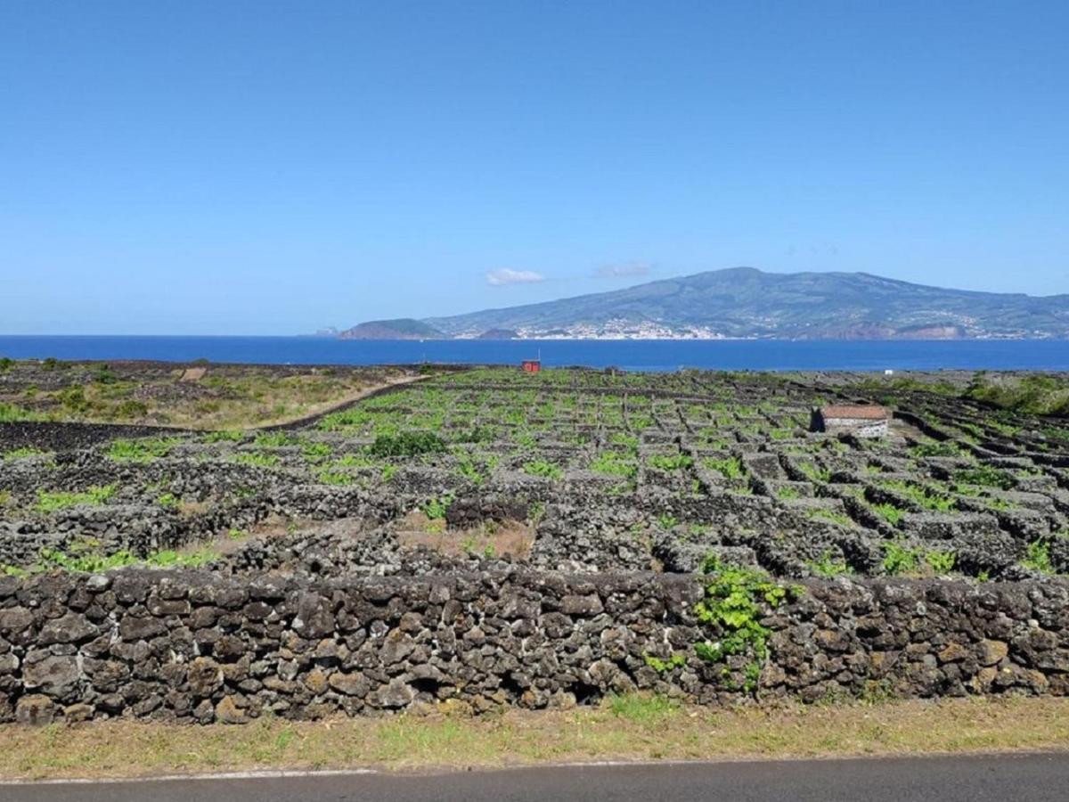 Casa Da Ilha Villa Madalena  Buitenkant foto